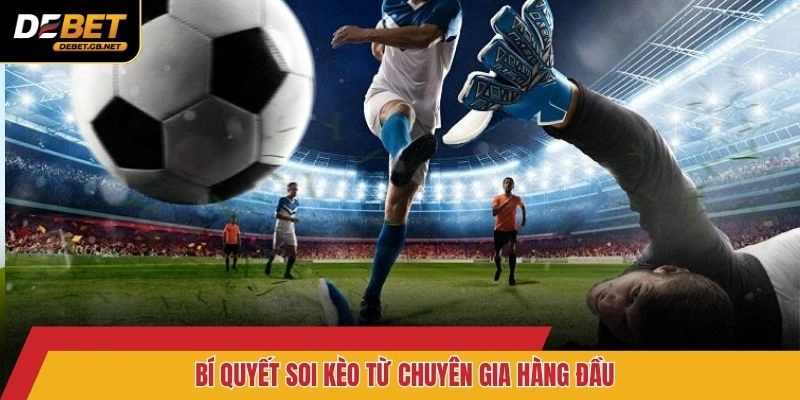 Bí quyết soi kèo từ chuyên gia hàng đầu